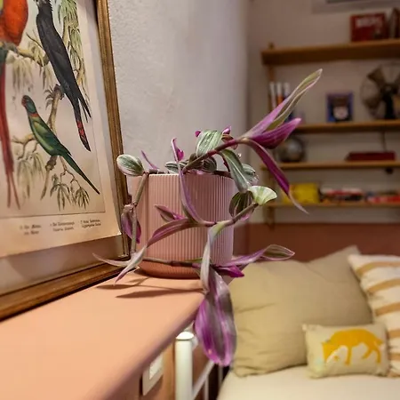 La Casa Nel Castello E La Terrazza Sul Borgo * Суверето